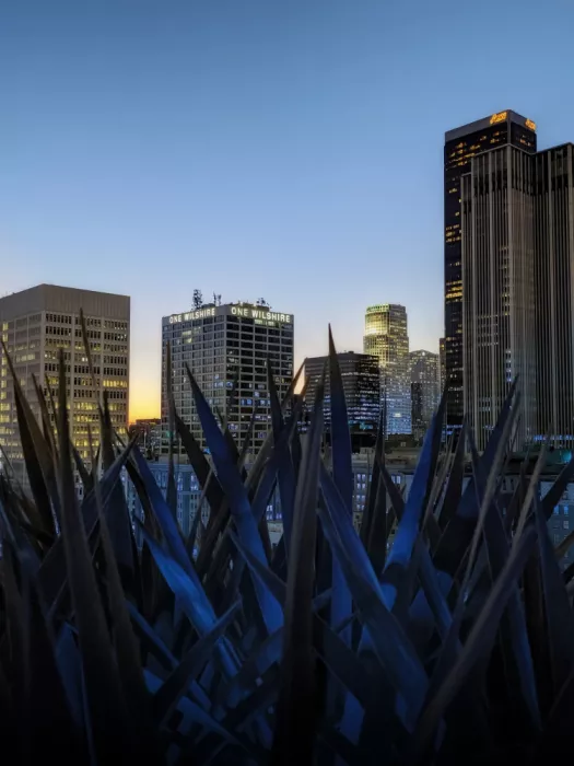 Windeknecht, Tom: Stunning Los Angeles Skyline at Dusk