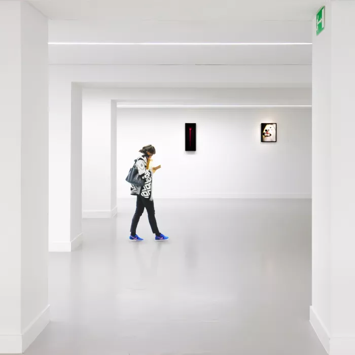 (laGrange), Vangindertael Luc: Stanza bianca