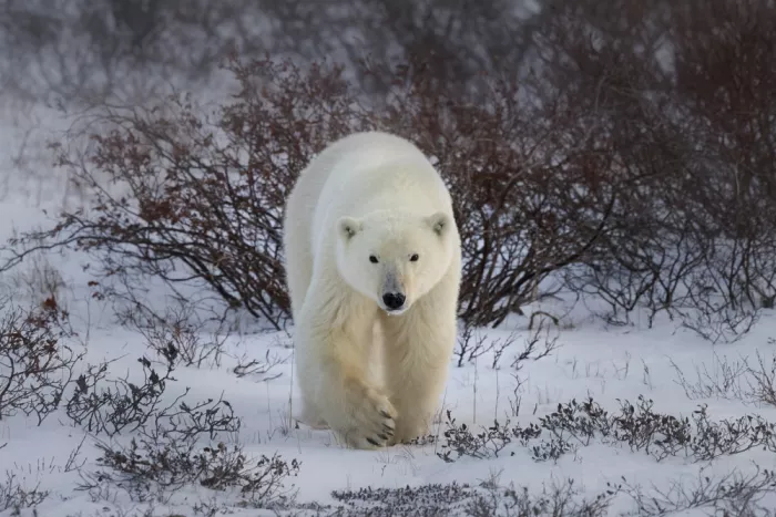 Feng, Young: Relaxing Move