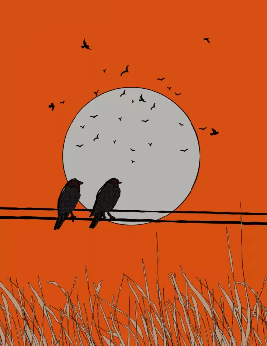 Nicholas: Silhouettes au coucher du soleil