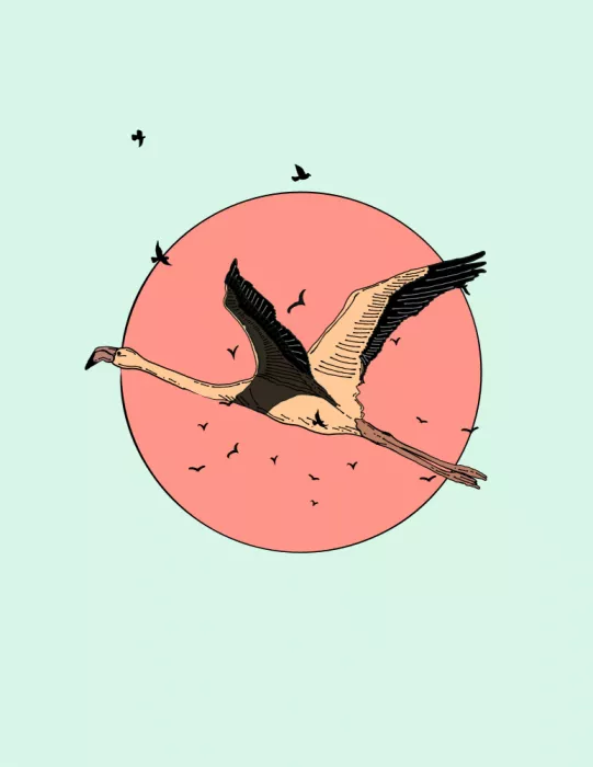 Nicholas: Flamingo im Flug