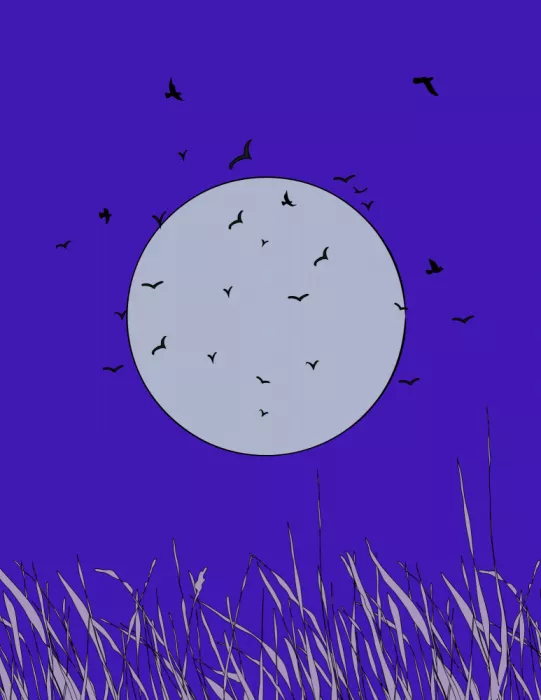 Nicholas: Chauves-souris au clair de lune