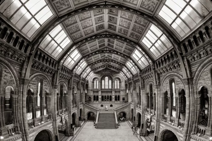Just, Carles: NHM