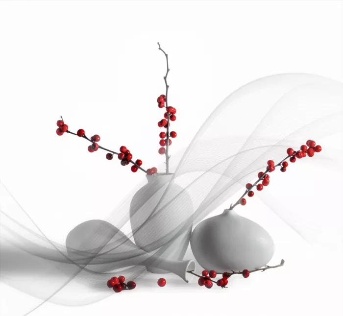 Zhong, John-Mei: Red beans in white vases