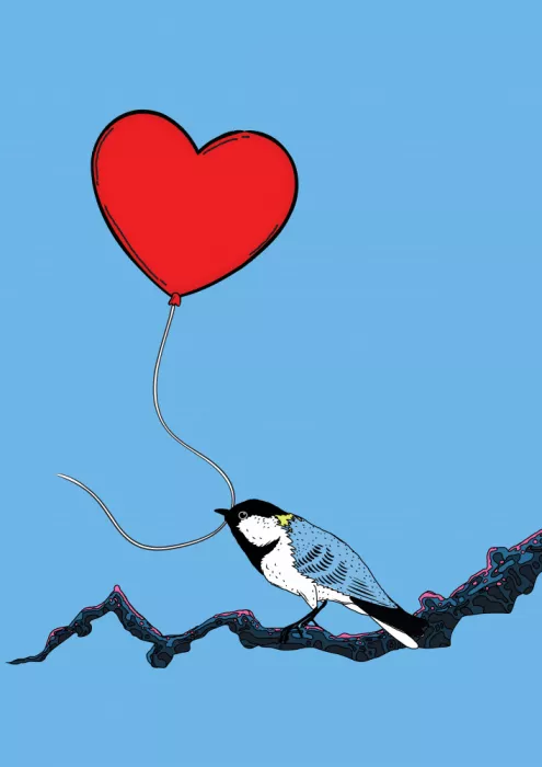 Nicholas: Japanese Love Bird