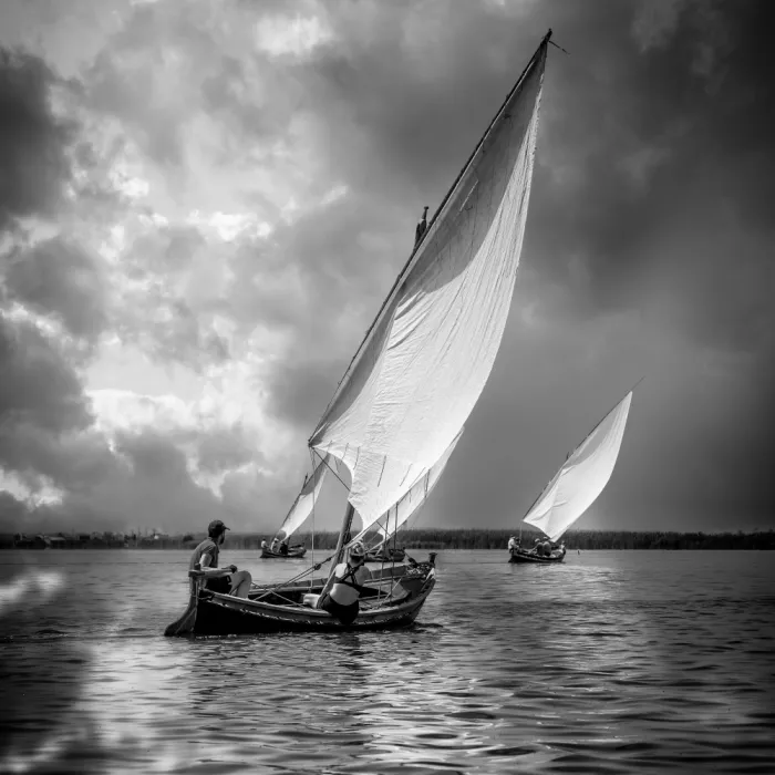 Villalba, Angel: Sailboats and Light XX