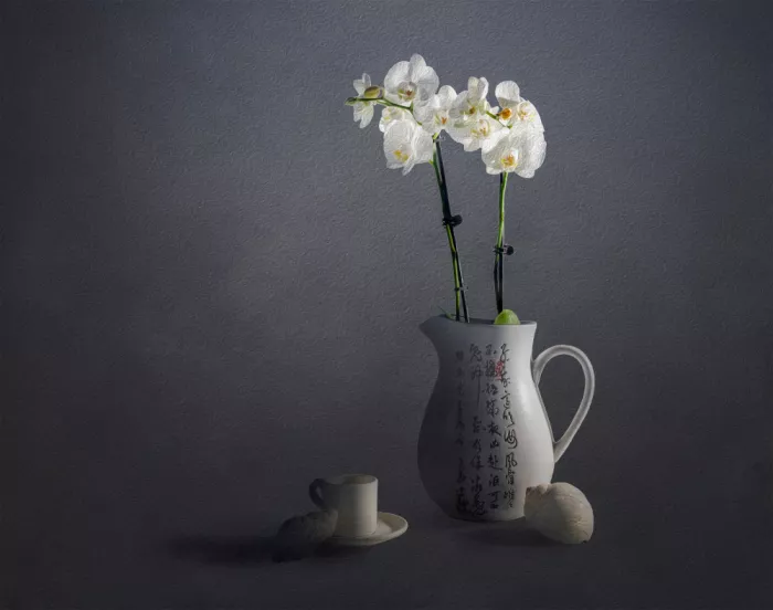 Zhong, John-Mei: White orchid