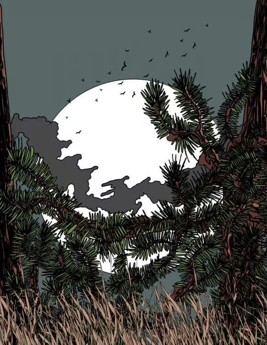 Nicholas: Clair de lune dans la forêt de pins