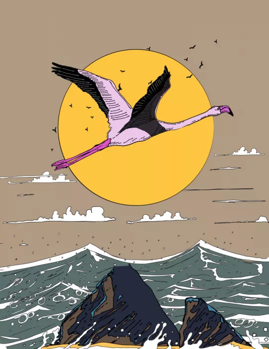 Nicholas: Flamant rose au-dessus de l