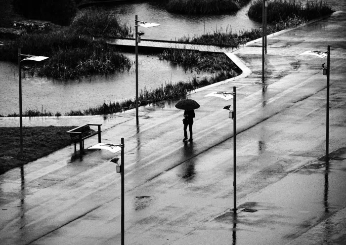 Urrutia, Adolfo: Winter rain