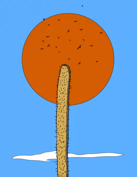 Nicholas: Cactus en Soleil Éclatant