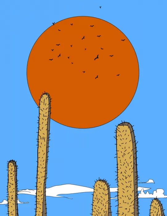Nicholas: Ciel du solstice du désert