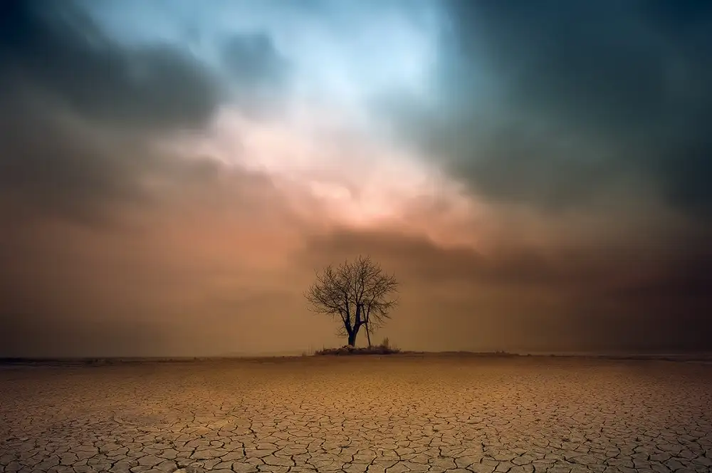 Krol, Bax Piotr: a loner ...
