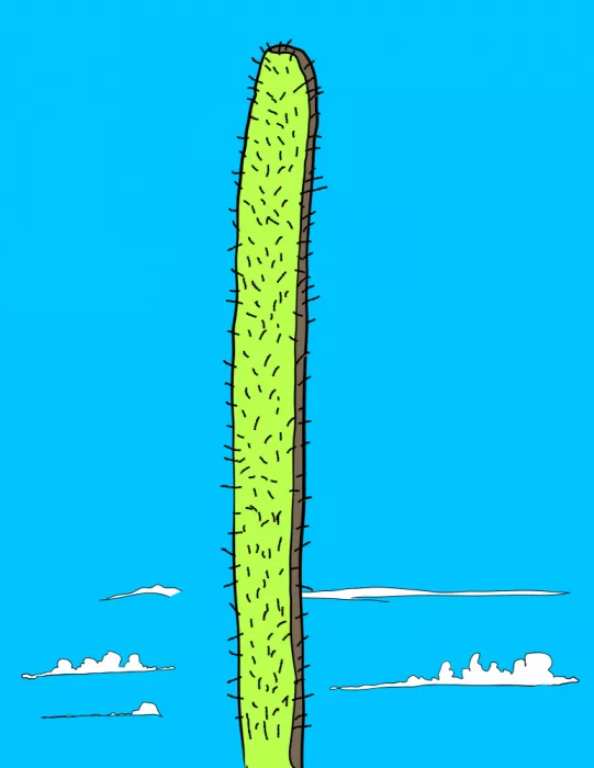 Nicholas: Grand Cactus sous un ciel