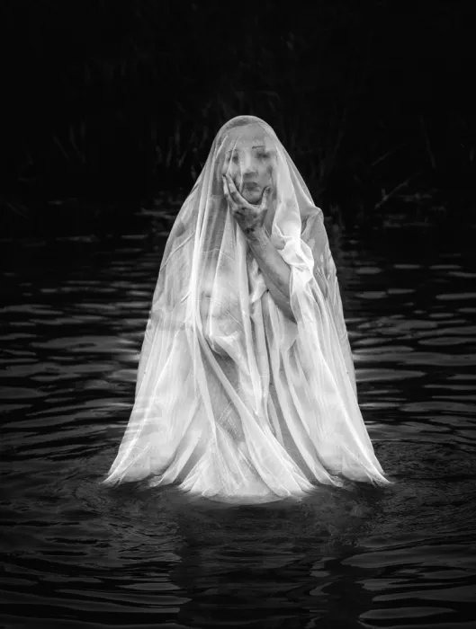 Dixon, Colin: Lady of the lake