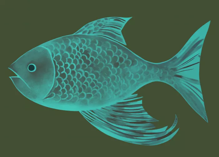 Magnusson, Andreas: Poisson fantastique