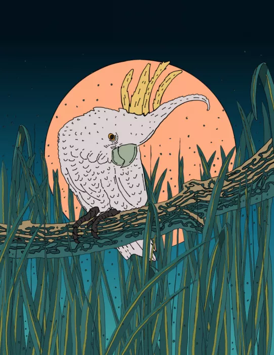 Nicholas: Sous la lune vigilante