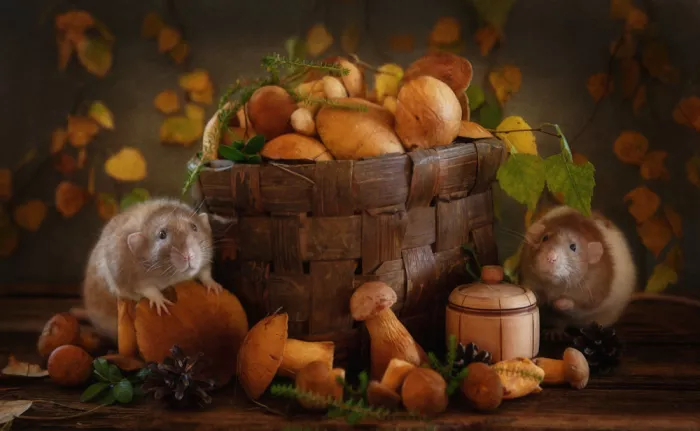 Grigorjeva, Eleonora: Two cute little rats and a basket of forest mushrooms