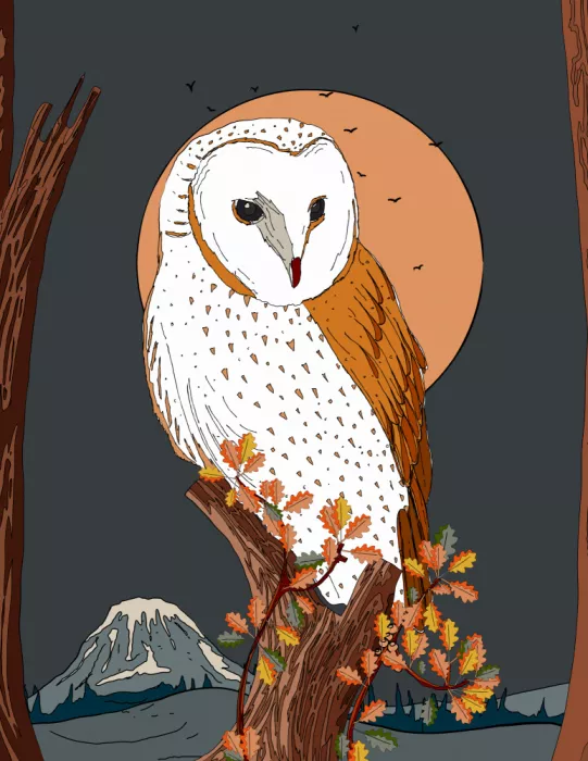 Nicholas: Hibou à minuit
