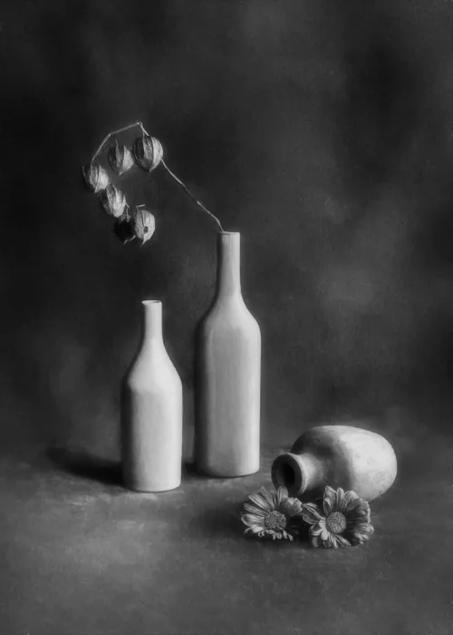 Maymayphoto: Silent Elegance