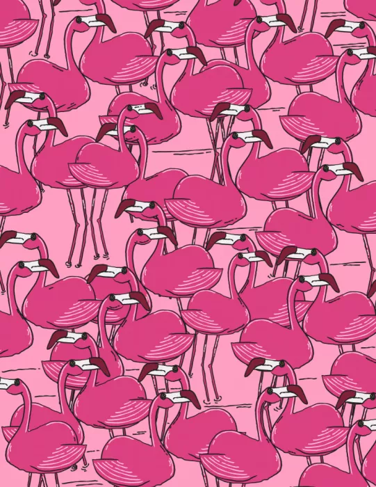Nicholas: Flamingos