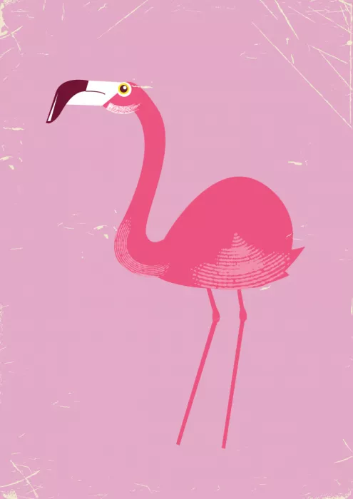 Nicholas: Oiseau Flamant