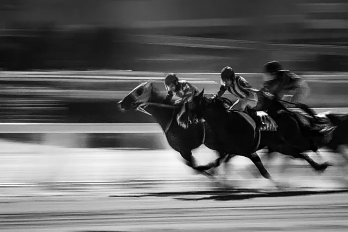 Aliace/uesan: Speed horse