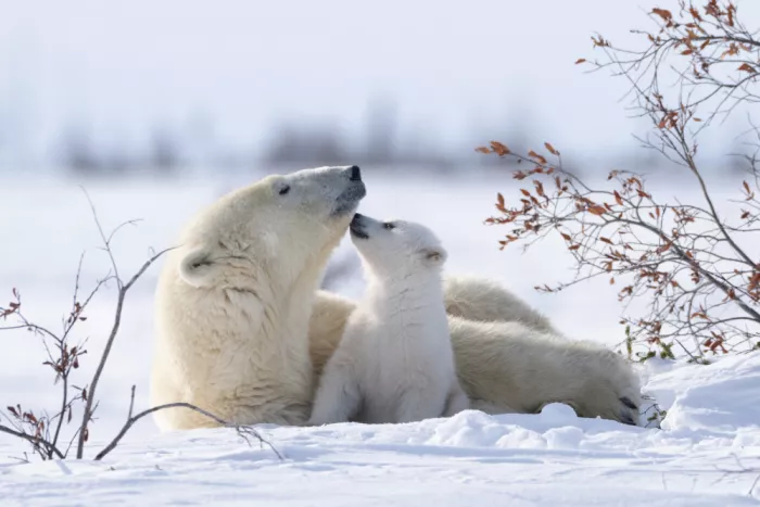 Qin, Xuemei: Moment du cœur