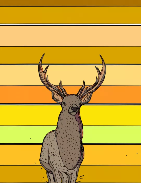Nicholas: Rayures de cerf