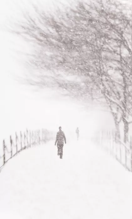 Hui: Lakeside Snow