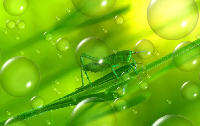 Dufour, Thierry: En tierra verde...