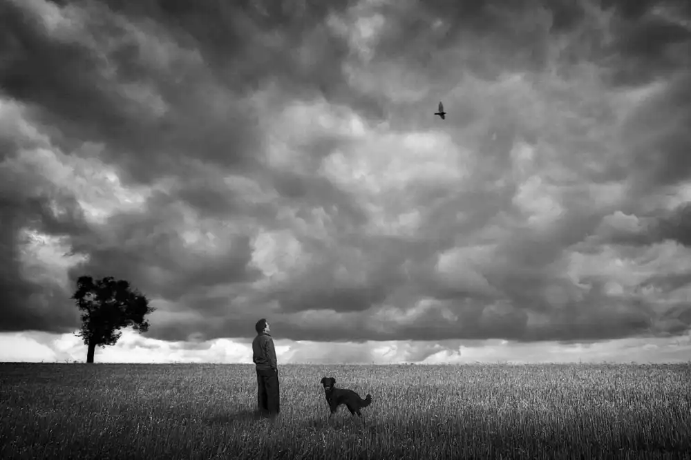 Droste, Holger: on the country
