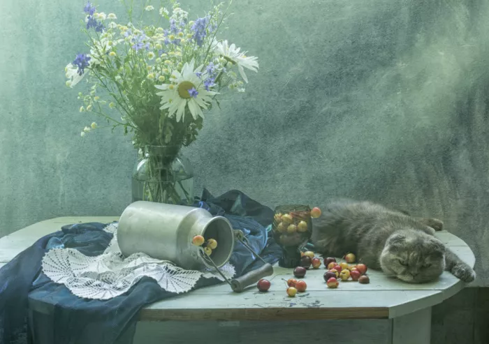 UstinaGreen: Still life with British Cat