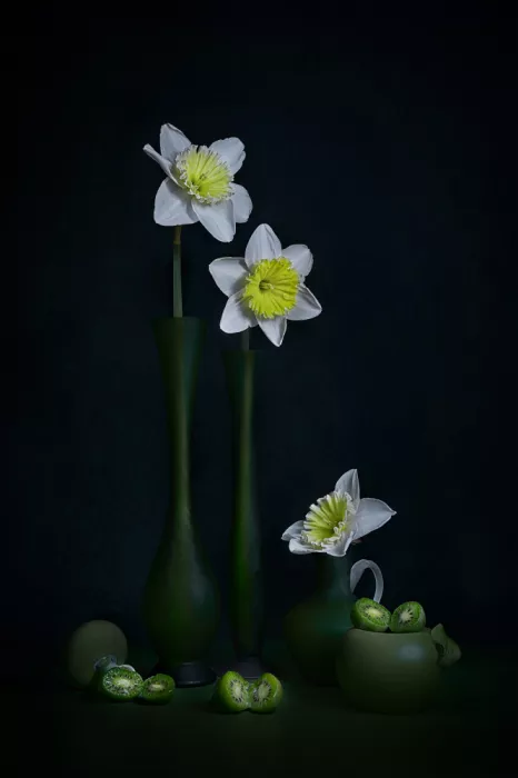 Jacobs, Lydia: Daffodil and mini Kiwi