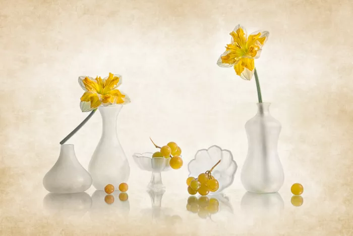 Jacobs, Lydia: Daffodil and Grapes