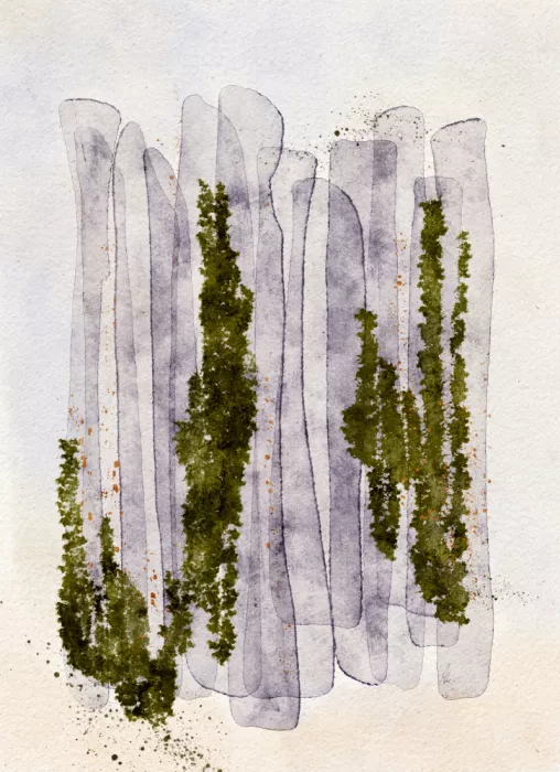 Kooi, Ankie: Rayures violettes verticales