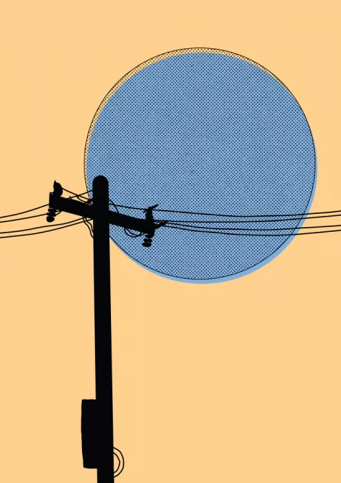 Nicholas: Silhouette de Skyline