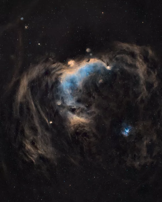 Chander, Vikas: La nebulosa del Gabbiano