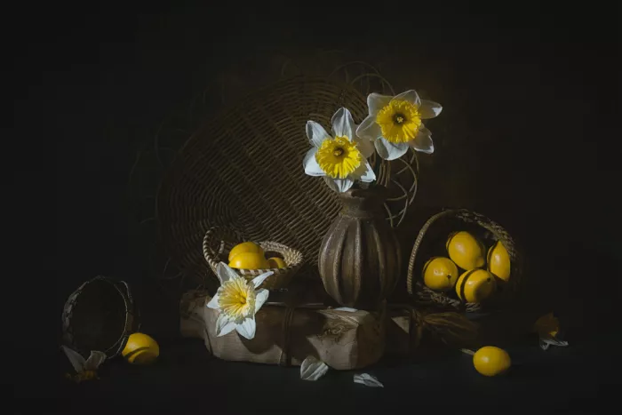 Jacobs, Lydia: Narcisi e Limoni