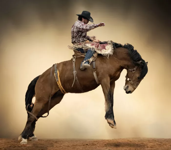 Lyons, Jane: Rodeo Classic