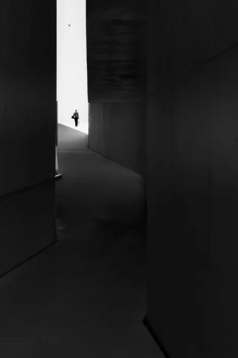 Azevedo, Olavo: The lady and the bird