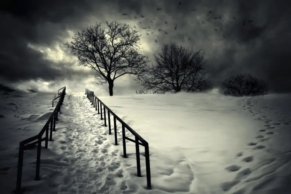 Senechal, David: Stairs To The Sanctuary II