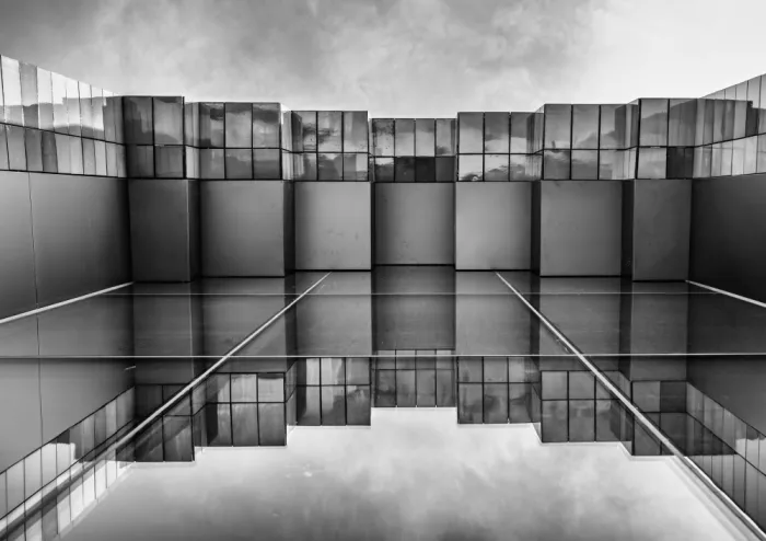 Koer, Jaap: In the mirror