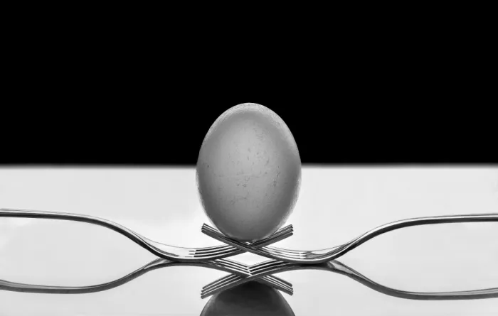 Toniolo, Giorgio: Egg