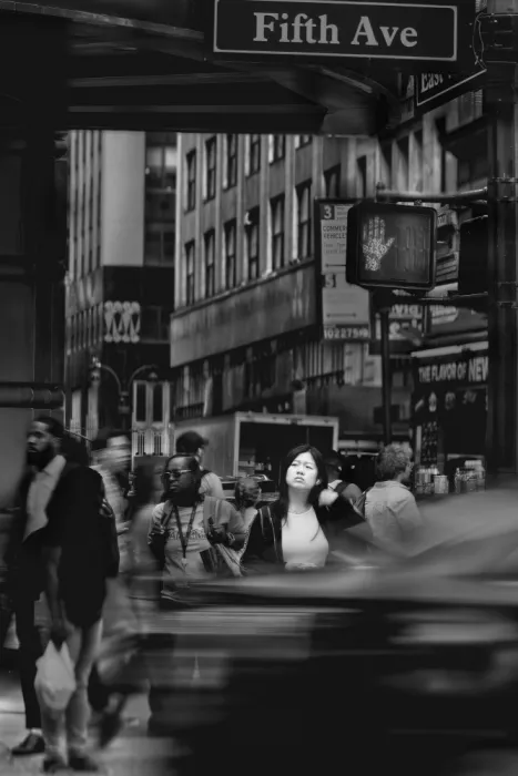 Gu, Jiangping: Fifth Ave New York