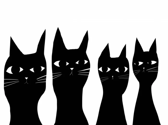 Bursic, Sharyn: Vier schwarze Katzen