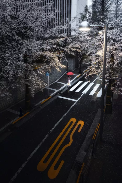 I_ha__to: Via dei ciliegi