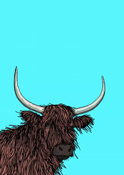 Nicholas: Vache des Highlands écossaises