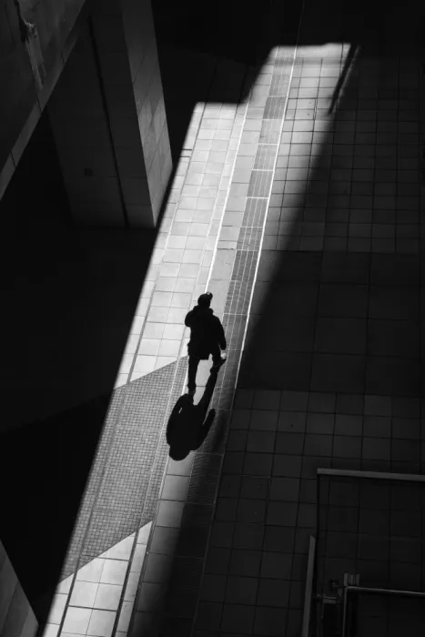 Sakamoto, Haruyo: Where the Light Falls