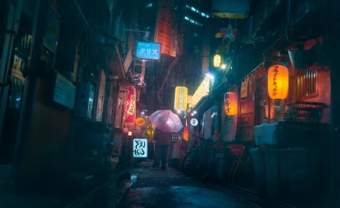 la, De Javier: Tokyo Nachtblues